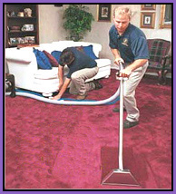 contact New Jersey carpet cleaning